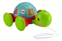 Juguete Para Bebés Fisher-price Tortuga De Aprendizaje