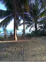 1era Lìnea Playa Cosón Las Terrenas