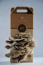 Kit De Autocultivo Hongos Gourmet Gírgolas / Pleurotus