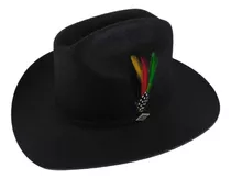 Sombrero Vaquero Texana Estilo Carin León F9