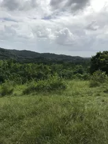 Te Vendo Excelente Finca En Bayaguana Monte Plata 