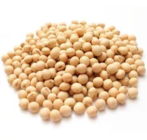 Porotos De Soja Premium - 1 Kg