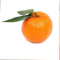 Arbolito De Mandarina