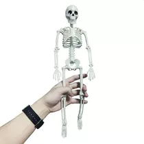 Calavera Esqueleto Estudio Medicina Halloween 40cm Alto