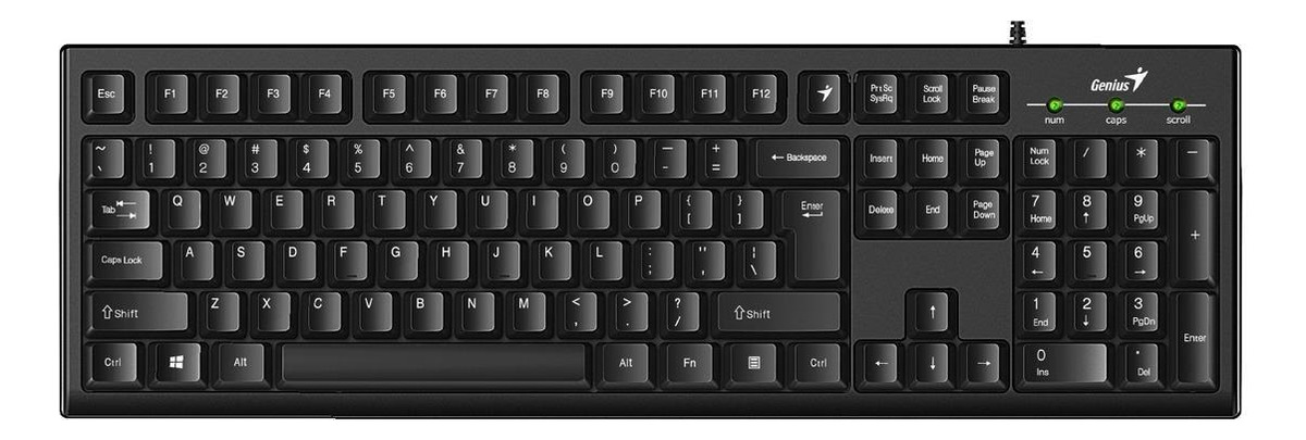 Teclado Genius KB-100 USB Negro