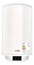 Termotanque 60 Lt Delne Acero Color Blanco