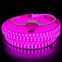 Manguera Cinta Led Doble 120led Chip Blanca Calida Colores