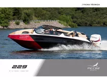 Piccini 229s Mercury 150hp + Trailer (canestrari Arco Iris) 