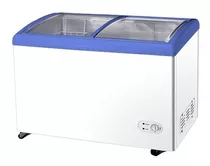 Conservadora Scd-250, Frezzer,almacen,negocio, Bozzo