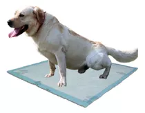 25 Und Tapetes Entrenadores Para Mascota 110 Cm X 60 Cm