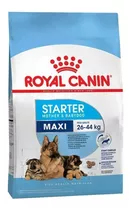 Alimento Royal Canin Size Health Nutrition Starter Mother & Babydog Para Perro Cachorro De Raza Grande Sabor Mix En Bolsa De 10 kg