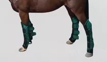 Protectores Manos, Patas + Rabo Para Traslado Equino