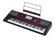 Korg Pa700 Oriental 61-key Arranger Workstation Keyboard