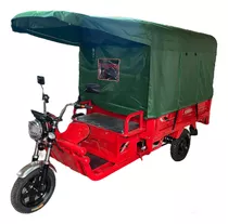 Torito Triciclo Pegaso Ebike Con Toldo Grande Atlas Xl
