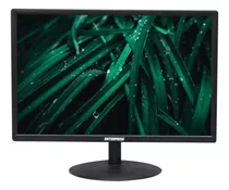 Monitor Led 19 Polegadas Hdmi/vga/vesa Preto Imagem Hd