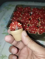 Mini Vasinho De Barro Com Florzinhas De Sabonete 