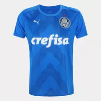 Camisa De Goleiro Palmeiras I 22/23 S/n° Puma Feminina Azul