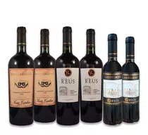 Vinos Premium Y Gran Reserva Santa Catalina 6 Botellas