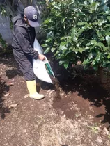 Compost-abono Orgánico-humificado En Sangolquí, 30kilos -7$