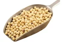 Soya En Grano 500g - Kg a $10