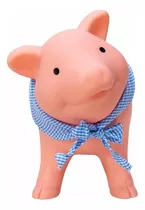 Rubber Piggy Bank- Alcancia De Goma By Kokino 