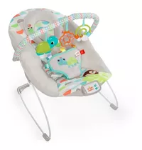 Silla Mecedora Para Bebé Bright Starts 11508 Gris