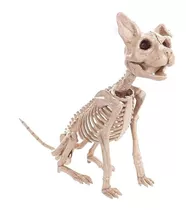 Boneco Esqueleto Gato Halloween Decoração Animais Bruxa