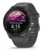 Smartwatch Gps Garmin Forerunner 255 Cinza Ardosia