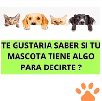 Registros Akashicos Para Mascotas