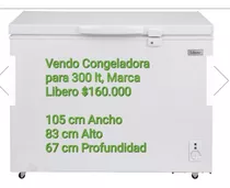 Congeladora Liberosemi Nueva300 Mt