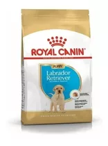 Royal Canin Labrador Retriever 33 Junior X 12 Kg Sabuesosvet
