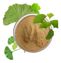 Ginkgo Biloba  Extracto Atomizado Polvo Pura 1 Kg