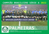 Pôster A4 - Campeões Do Brasileiro Série A