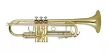 Wisemann Trompeta Dtr-250