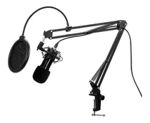 Kit Microfone Condensador Alra Music Xlr Al-m800 Podcast