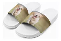 Chancletas Chanclas Personalizadas Mascotas Foto