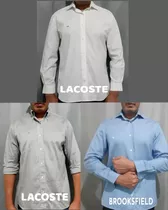 Lacoste 02 Brooksfield 01 Originais Modelo Slim Classic Fit 