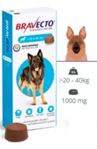 Pastillas Bravecto Antigarrapata Para Perro 20-40 Kg