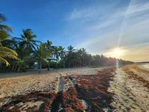 Vendo Terreno Con Mejora Incluida En Uvero Alto Bávaro Punta Cana, República Dominicana