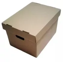 Caja Cartón X300 Para Manejo Archivos Con Tapa C720 X 20 Und