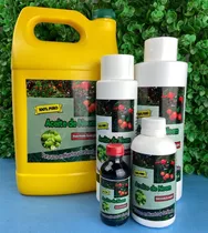 Aceite De Neem 