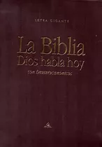 Biblia Dios Habla Con Deuterocanónicos Letra Gigante 