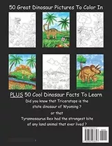 Libro Para Niños  Dyi Colorear Dinosaurios  Arte