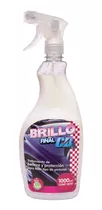 Brillo Final Para Pintura De Auto Cb X 1 L.