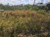 Excelente Terreno Comercial En Autopista Ramón Cáceres