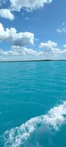 Hermoso Y Enorme Terreno En Bacalar 