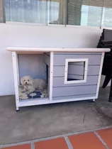 Casa De Perro Lista Para Entregar Nueva