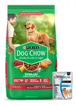 Dog Chow Adulto 21 Kg + Promo -ver Foto- + Envío Todo Uy!