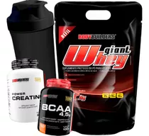 Kit Giant Whey Protein 2kg + Bcaa + Creatina + Coqueteleira