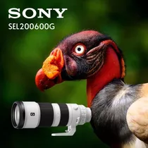 Sony Fe 200-600mm F/5.6-6.3 G Oss Sel200600g - Inteldeals